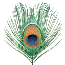 Apple Venus (1999)