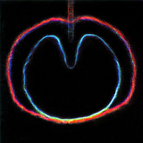 Wasp Star (2000)