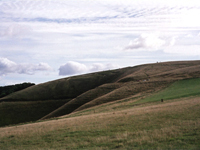 Swindon 2005